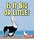 Is It Big or Little? (First Step Nonfiction: Properties of Matter)