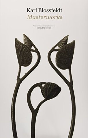 Karl Blossfeldt Masterworks /anglais (Hardcover)