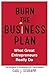 Burn The Business Plan by Carl J. Schramm
