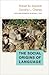 The Social Origins of Language (Duke Institute for Brain Sciences Series)