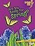 Are You Ready for Spring? (Lightning Bolt Books)