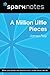 A Million Little Pieces (Sp...