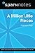 A Million Little Pieces (SparkNotes Literature Guide)