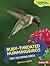 Ruby-Throated Hummingbirds: Tiny Hovering Birds