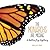 The Monarchs Are Missing: A Butterfly Mystery