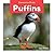 Puffins