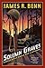 Solemn Graves by James R. Benn