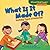 What Is It Made Of?: Noticing Types of Materials (Cloverleaf Books ™ ― Nature's Patterns)