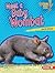 Meet a Baby Wombat