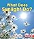 What Does Sunlight Do? (First Step Nonfiction: Let's Watch the Weather)