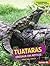 Tuataras: Dinosaur-Era Reptiles (Comparing Animal Traits)