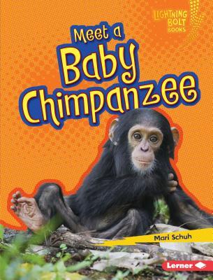 Meet a Baby Chimpanzee (Lightning Bolt Books ® ― Baby African Animals)