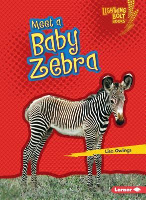 Meet a Baby Zebra (Lightning Bolt Books ® ― Baby African Animals)