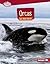 Orcas on the Hunt (Searchlight Books ™ - Predators)