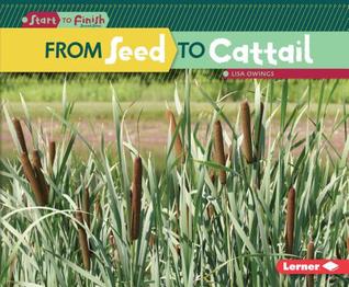 From Seed to Cattail (Library Binding)