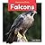 Falcons