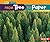 From Tree to Paper