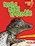 Meet a Baby Crocodile