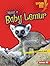 Meet a Baby Lemur (Lightning Bolt Books: Baby African Animals)