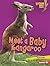 Meet a Baby Kangaroo