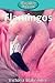 Flamingos (Elementary Explorers)