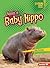 Meet a Baby Hippo (Lightning Bolt Books: Baby African Animals)