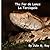 The Fer de Lance La Terciopelo by Julie Ray