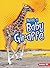 Meet a Baby Giraffe (Baby African Animals: Lightening Bolt Books)