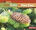 From Cone to Pine Tree