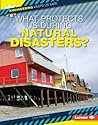 What Protects Us During Natural Disasters? (Engineering Keeps Us Safe)