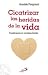 Cicatrizar las heridas de la vida by Arnaldo Pangrazzi