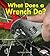 What Does a Wrench Do? (First Step Nonfiction: Tools at Work)