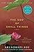 The God of Small Things by Arundhati Roy