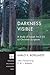 Darkness Visible by Karlo V Bordjadze