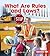 What Are Rules and Laws? (First Step Nonfiction: Exploring Government)