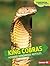King Cobras: Hooded Venomous Reptiles (Comparing Animal Traits)