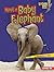 Meet a Baby Elephant (Lightning Bolt Books: Baby African Animals)