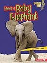 Meet a Baby Elephant (Lightning Bolt Books: Baby African Animals)