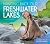 Bringing Back Our Freshwater Lakes (Conservation Success Stories)