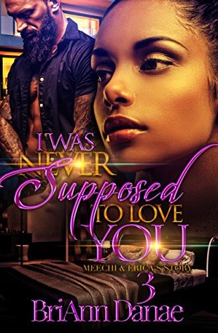 I Was Never Supposed To Love You 3: Meechi & Erica's Story (Kindle Edition)