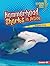 Hammerhead Sharks in Action