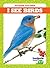 I See Birds (Outdoor Explorer)