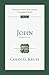 John: An Introduction and Commentary (Tyndale New Testament Commentaries Book 4) (VOLUME 4)
