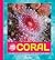 Coral: A Close-Up Photographic Look Inside Your World (Up Close)