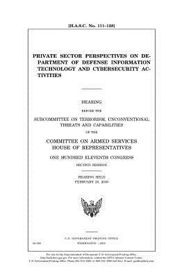 Private Sector Perspectives on Department of Defense Information Technology and Cybersecurity Activities