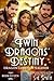 Twin Dragon’s Destiny (Drag...