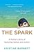 The Spark by Kristine Barnett