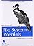 Windows NT File System Internals: A Developer's Guide