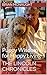 The Lincoln Chronicles: Pup...