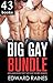 Big Gay Bundle (43 Books)